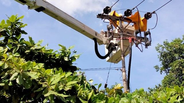 Potong Pohon Tanpa Izin, Bupati Gorontalo Ancam Tuntut PLN