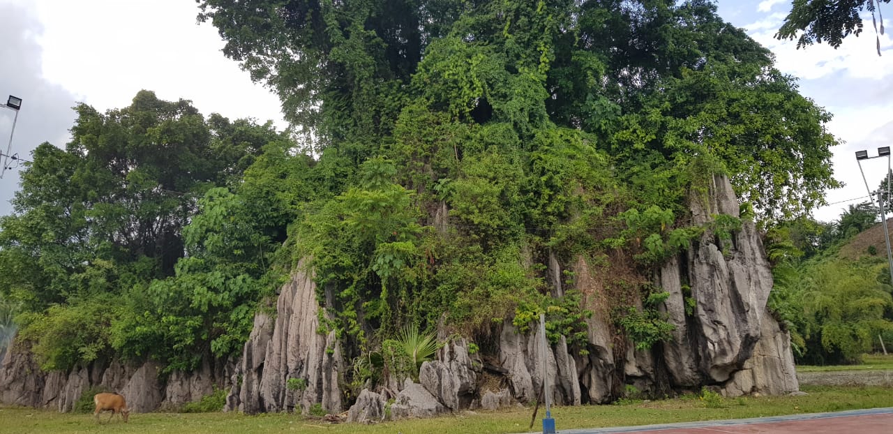 Video: Menjelajahi Gua Istana Raja Jin di Pantai Utara Gorontalo