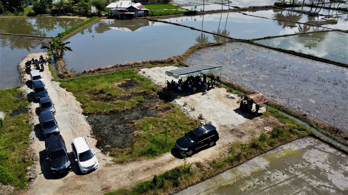 Foto: Pelantikan, Penanaman Pohon, hingga Peletakkan Batu Pertama Sekretariat AMSI Gorontalo