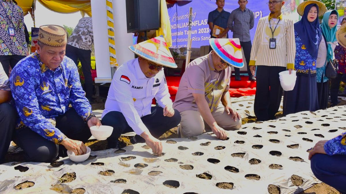 Penjagub Hamka Tanam-Panen “Barito” di Desa Buhu