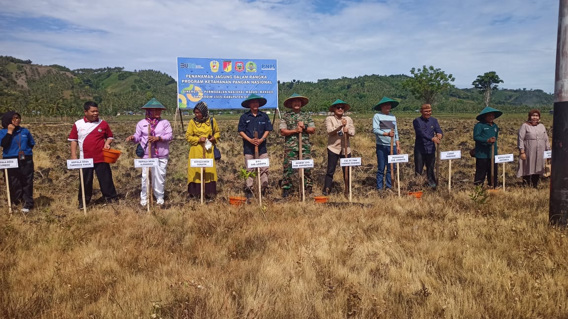 Dukung Ketahanan Pangan, Kodim 1315 Tanam Jagung Bersama PNM Manado