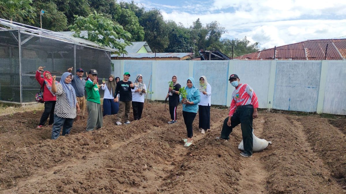 Tanam ‘Barito’ Jadi Syarat Menikah di Kelurahan Kayubulan