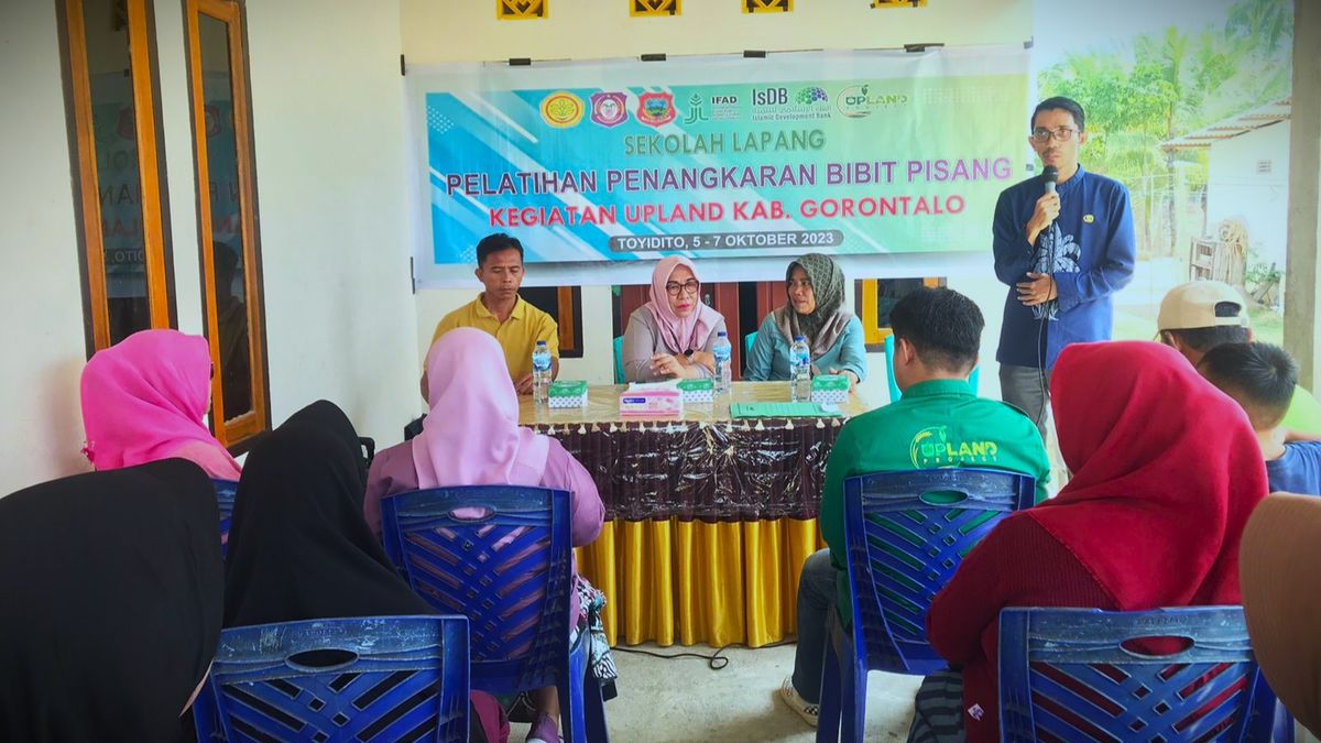 Distan Kabupaten Gorontalo Gelar Pelatihan Penangkaran Bibit Pisang bagi Petani UPLAND