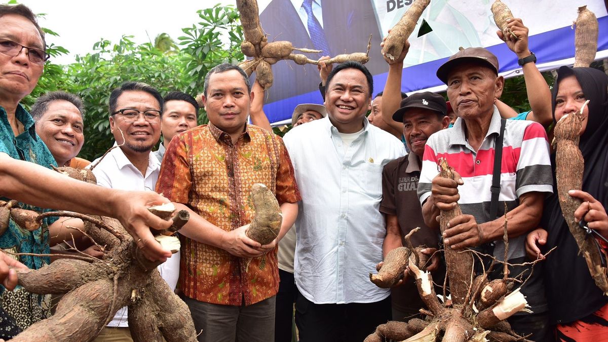 Penjagub Gorontalo Hadiri Panen Perdana Komoditi Singkong di Tolotio