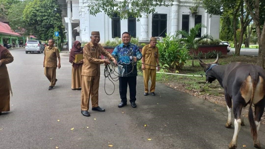 Jelang Idul Adha, BKAD Kabupaten Gorontalo Serahkan Hewan Kurban