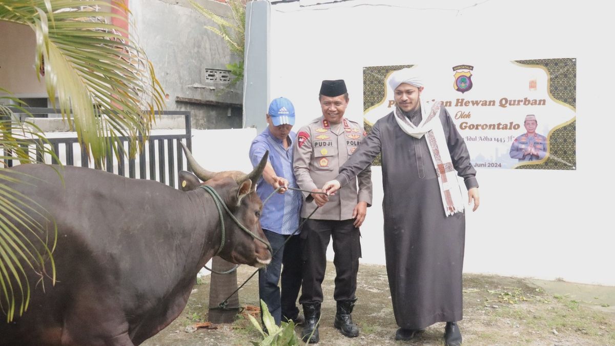 Jelang Idul Adha, Polda Gorontalo Serahkan Hewan Kurban di Sejumlah Masjid