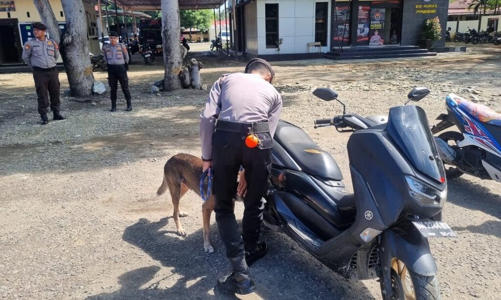 Samapta Polda Gorontalo Asah Kemampuan Penciuman Satwa K-9